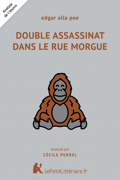 Analyse du livre :  Double Assassinat dans la rue Morgue